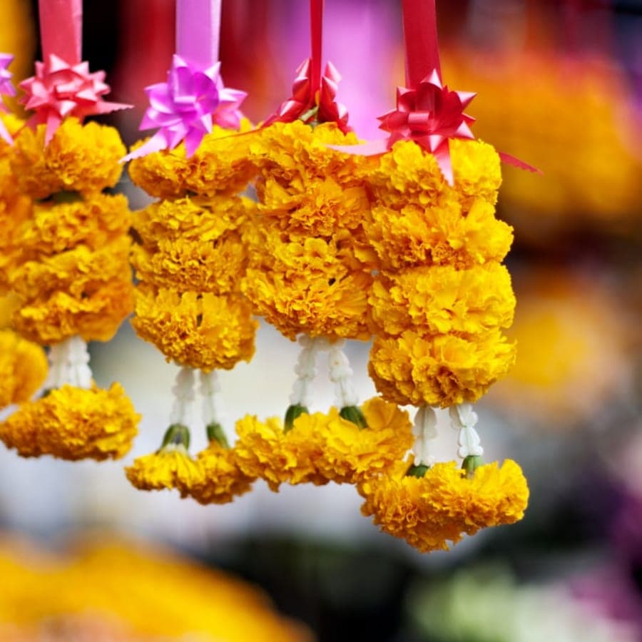Ganpati 10-Day Darshan Package